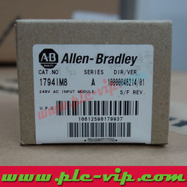 China Allen Bradley PLC 1794-IM8 / 1794IM8 supplier