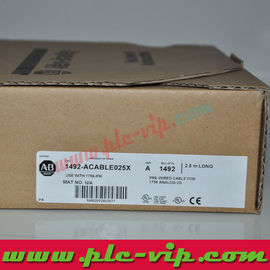 China Allen Bradley Cable 1492-ACAB010D69 / 1492ACAB010D69 supplier