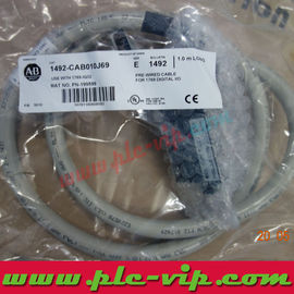 China Allen Bradley Cable 1492-ACAB010EB69 / 1492ACAB010EB69 supplier