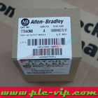 Allen Bradley PLC 1794-OM8 / 1794-OM8